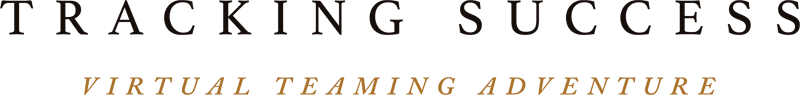 Tracking Success Online – Tracking Success